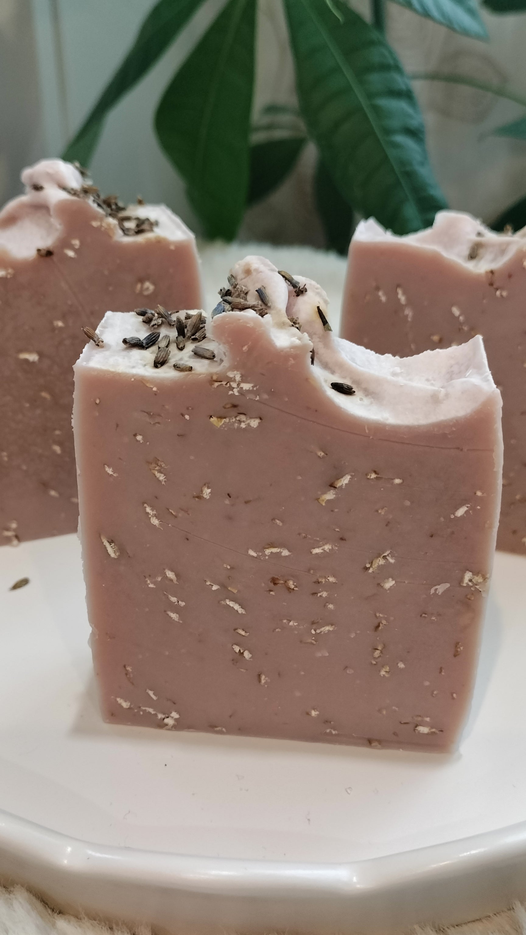 Lavender Oats